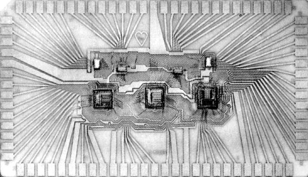 Hybrid Microprocessor B&W Small04